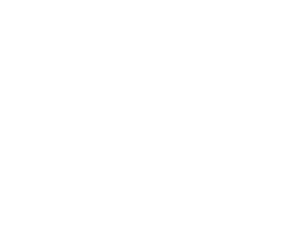 Blizzard-Transparent