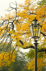 Autumn in the park, old lantern and tree with colored  leaves