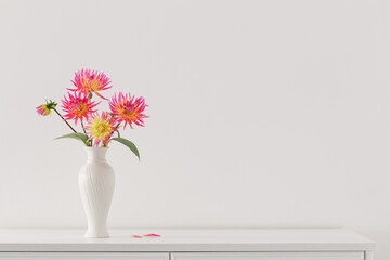 beautiful pink dahlia in white vase on white background