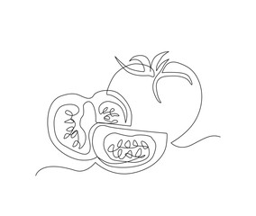 Continuous line art drawing of Tomatoes. Tomato single line art drawing for plantation business concept.