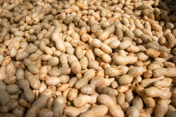 Raw peanuts background with the sunshine, Fall harvest, Healthy food.