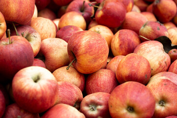 Fototapeta na wymiar Background with fresh red apples. Top view, flat lay