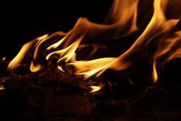 fuego