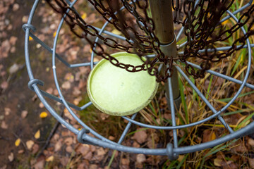 disc laying in a disc golf basket