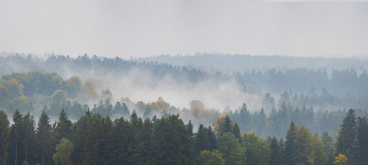 Amazing mystical rising fog forest autumnal trees and firs landscape in black forest ( Schwarzwald ) Germany panorama banner - Dark autumn mood - obrazy, fototapety, plakaty