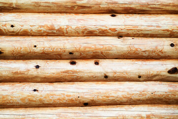 Log wall. Fragment of the built facade of a house made of logs. Close-up