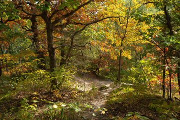 Fall landscape at Starved Rock.