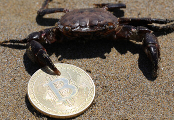 crab grabbing the golden Bitcoin coin with the claw