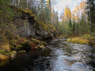 The Kolos river with rocks on the shore flows in the forest in autumn in the Republic of Karelia, northwest Russia - obrazy, fototapety, plakaty