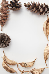 pinecone pine autumn 
white background,dead leaves