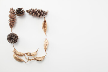 pinecone pine autumn 
white background,dead leaves