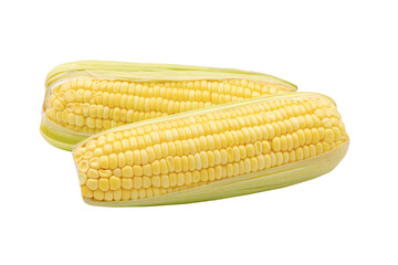 Corn isolated on white background with clipping path