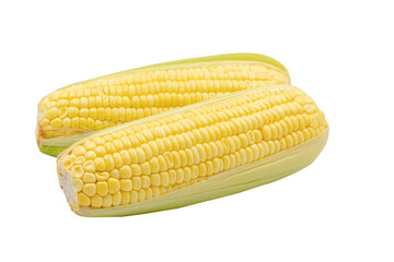Corn isolated on white background with clipping path