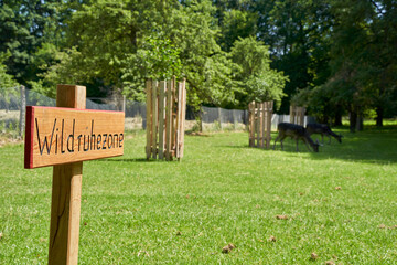 Wildlife resting zone in forest in front of trees in sunny summer with blue sky for copy space. Area serves for the protection and recreation of animals.Translation on the Sign: Wildlife Rest Area
