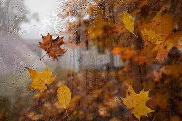 Autumn leaves and raindrops on window, rainy autumn day