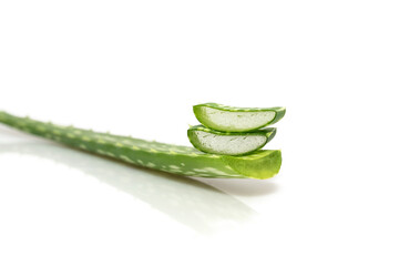 Aloe flower leaves on a white background. Close-up. medicinal flower.