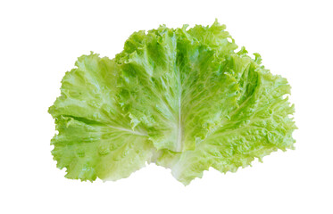 Naklejka na ściany i meble Salad leaf. Lettuce isolated on white background. with clipping path