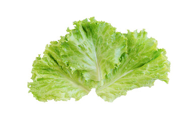 Salad leaf. Lettuce isolated on white background. with clipping path