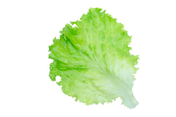 Salad leaf. Lettuce isolated on white background with clipping path.
