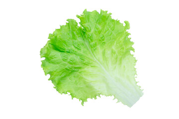 Fototapeta na wymiar Salad leaf. Lettuce isolated on white background with clipping path.