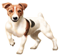 disegno jack russel terrier