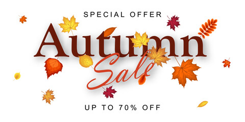 Autumn Sale Banner