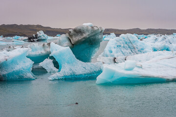 Jökulsárlón glaciar lake (Iceland)