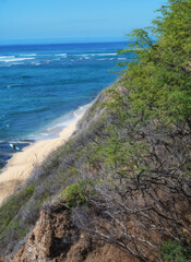 View of a Hillside and a Vacant Ocean Beach.