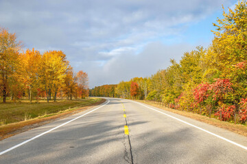Looking down centreline of empty roadway through forest and parkland with trees in full fall foliage, cloudy sky, nobody