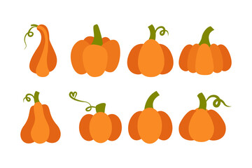 Illustration of various pumpkins set. Isolated on white background. Elements for autumn needs