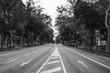 an empty city street photographed in a moment of respite from car traffic