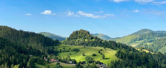Panoramic view of a green landscape with trees and vegetation in blue sky background - obrazy, fototapety, plakaty