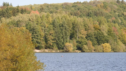 Herbstwald am Ufer des Bostalsees