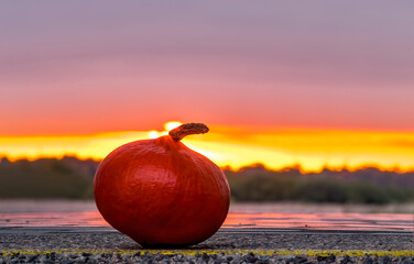 Autumnal subject image with close up of ripe pumpkin on stone plate with blurred  background of...