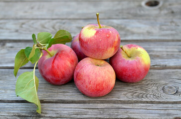 Freshly picked ripe apples on an old wooden table. Concept of growing your own organic food.