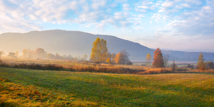 rural fields in autumnal countryside. colorful mountain landscape on a misty morning. trees in fall foliage