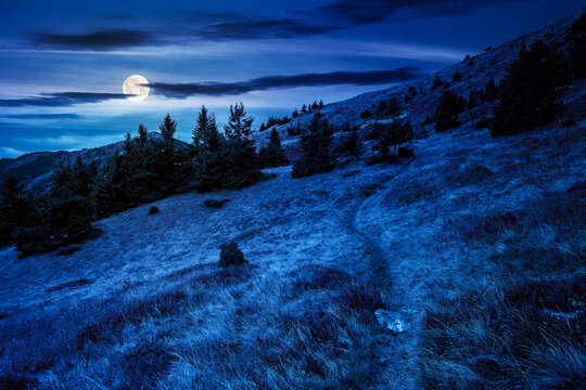 trail through mountain hill at night. landscape with trees on the meadow with weathered grass in full moon light. ridge in the distance beneath a cloudy sky. magical scenery of carpathians