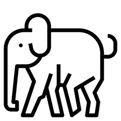 elephant