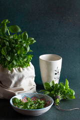 fresh herbs in a mortar