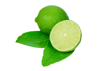 Lime slice and leaf isolated on white background with clipping path