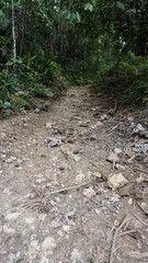 Fototapeta premium the start of the hiking trail Sendero Franklin to the waterfall Salto El Limon in the province of the Samana Peninsula in the Dominican Republic in the month of January 2022