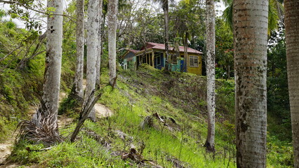 A colorful hut on a hill on the hiking trail Sendero Franklin to the waterfall Salto El Limon in the province of the Samana Peninsula in the Dominican Republic in the month of January 2022