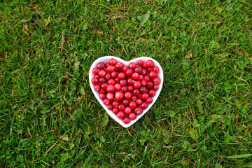 A heart-shaped plate with ripe cranberries on a background of green grass.The concept of seasonal harvesting of berries useful for humans, vegetarian food, healthy organic food, berries of the north