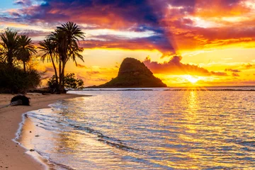 Fototapeten Beautiful Sunrise a Kualoa Beach Park in Kaaawa, Oahu, Hawaii © shanemyersphoto