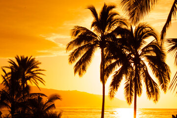 Fototapeta na wymiar North Shore Oahu Hawaii Sunset