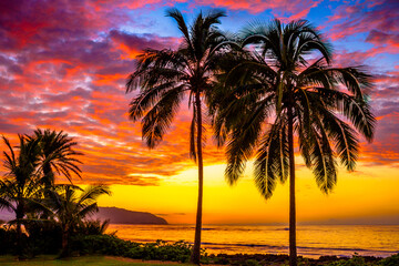 Fototapeta na wymiar North Shore Oahu Hawaii Sunset