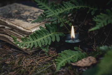 Vintage magic book and a burning candle in the forest on the ground under the fern leaves, close...