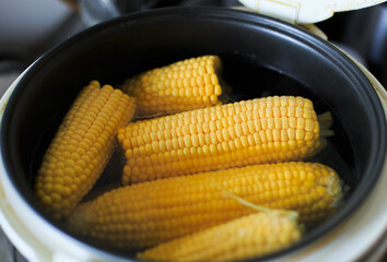 Freshly boiled corn in a pot.  Yellow corn cobs in the multicooker