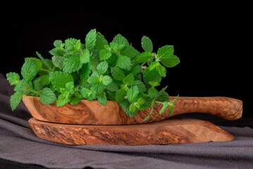 Lemon Balm (herb) tied in a bunch on white backgriound