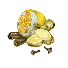 Hand Drawn Ginger watercolor sketch. Illustration For Food Design.